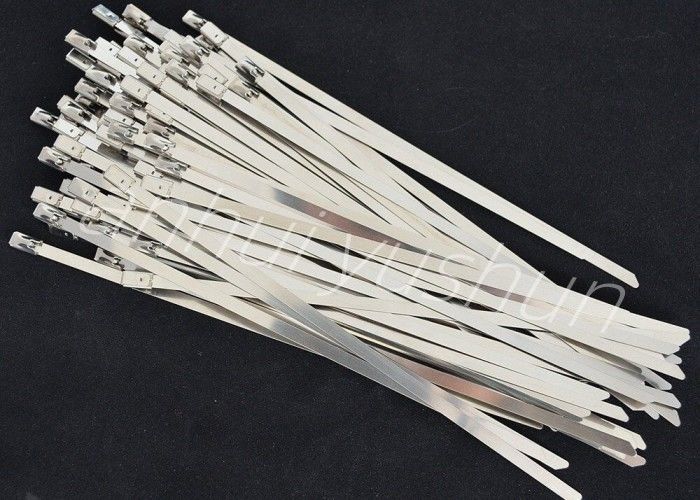 tipo inossidabile del fermaglio della fascetta ferma-cavo del pacco SS316 di 100mm