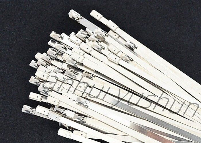 tipo inossidabile del fermaglio della fascetta ferma-cavo del pacco SS316 di 100mm